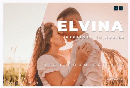 [Elements.Envato] Elvina Desktop and Mobile Lightr_0.png